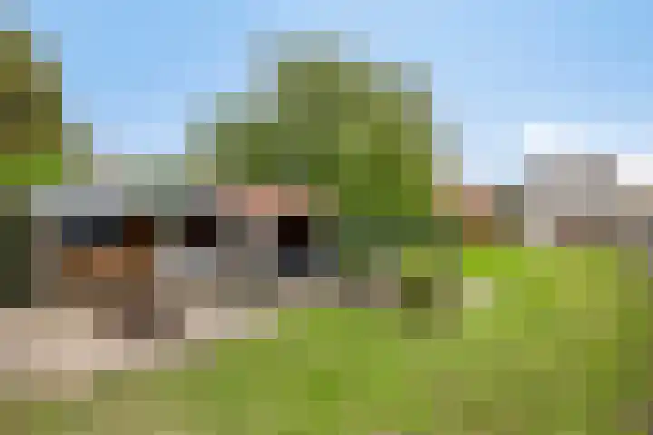 Vroenhof 120 Valkenburg thumbnail 51