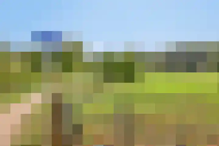 Vroenhof 120 Valkenburg thumbnail 53