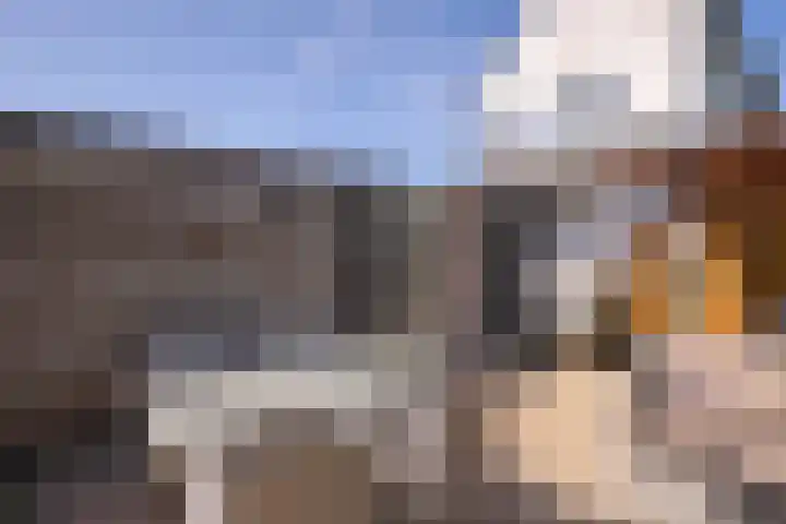 Vroenhof 25 Valkenburg thumbnail 15