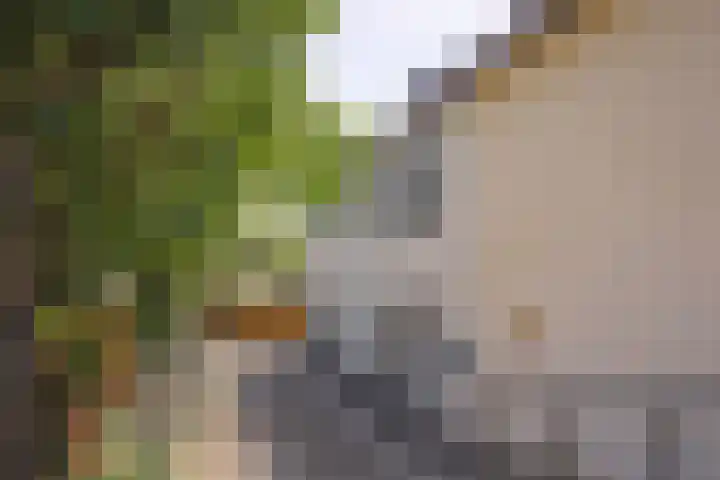 Vroenhof 25 Valkenburg thumbnail 16