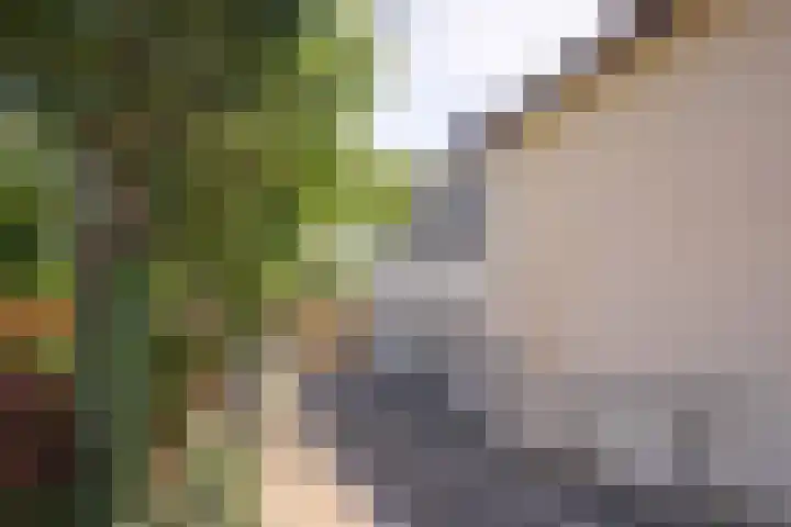 Vroenhof 25 Valkenburg thumbnail 21
