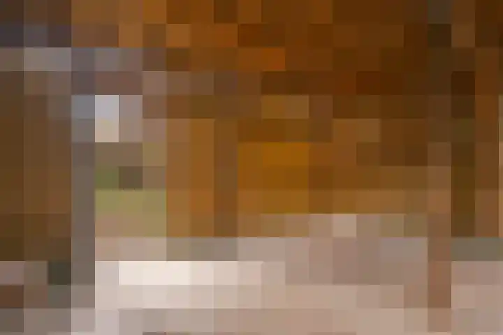 Vroenhof 27 Valkenburg thumbnail 18