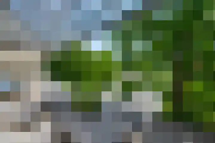 Vroenhof 57 A Valkenburg thumbnail 19