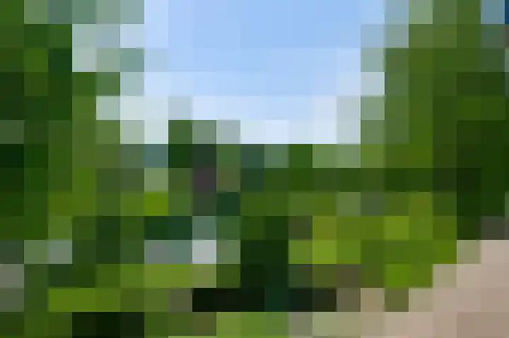 Vroenhof 57 A Valkenburg thumbnail 4
