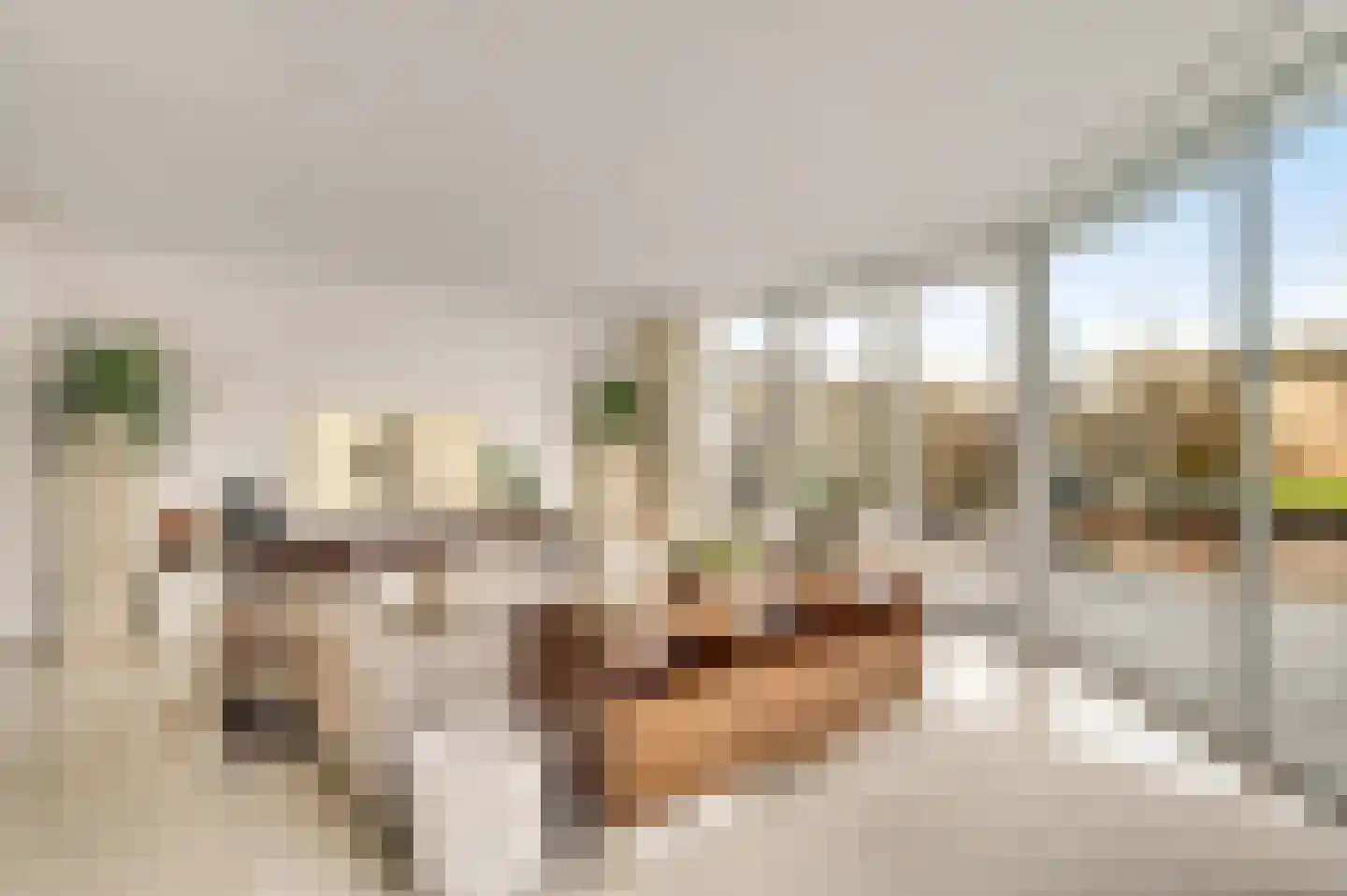 Vroenhof 78 Valkenburg thumbnail 9