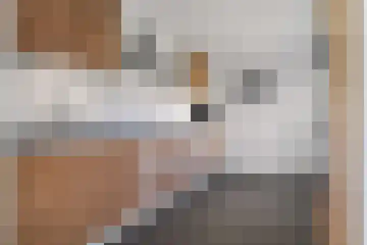 Vroenhofstraat 16 Beek thumbnail 13