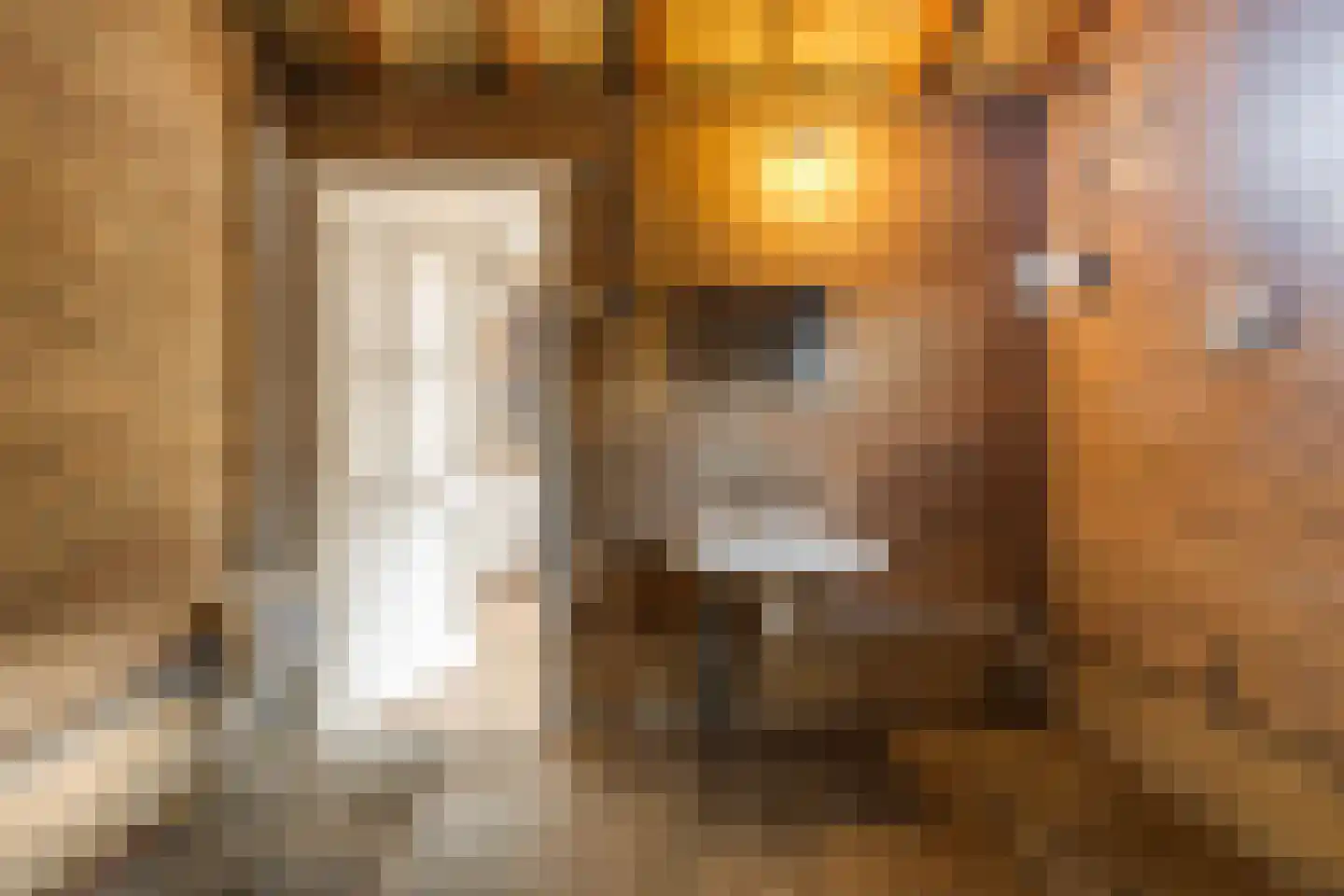 Vroenhofstraat 6 Beek thumbnail 24
