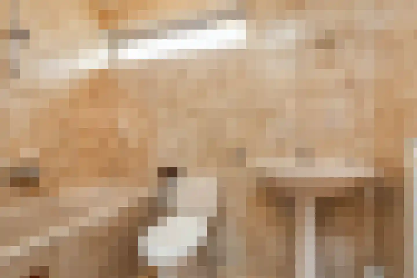 Vroenhofstraat 6 Beek thumbnail 30
