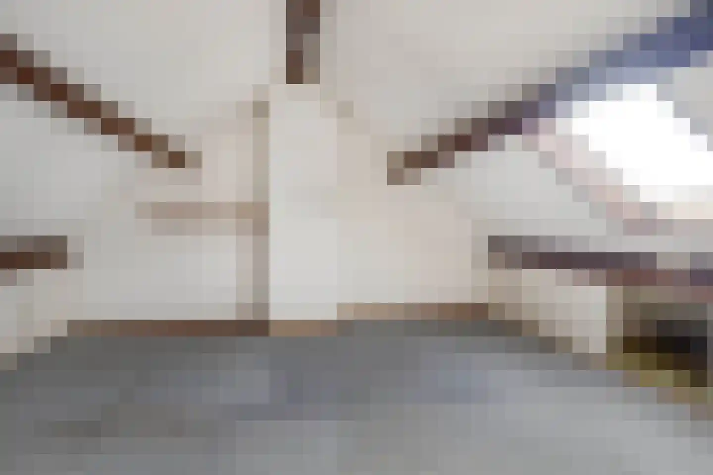 Vroenhofstraat 6 Beek thumbnail 34