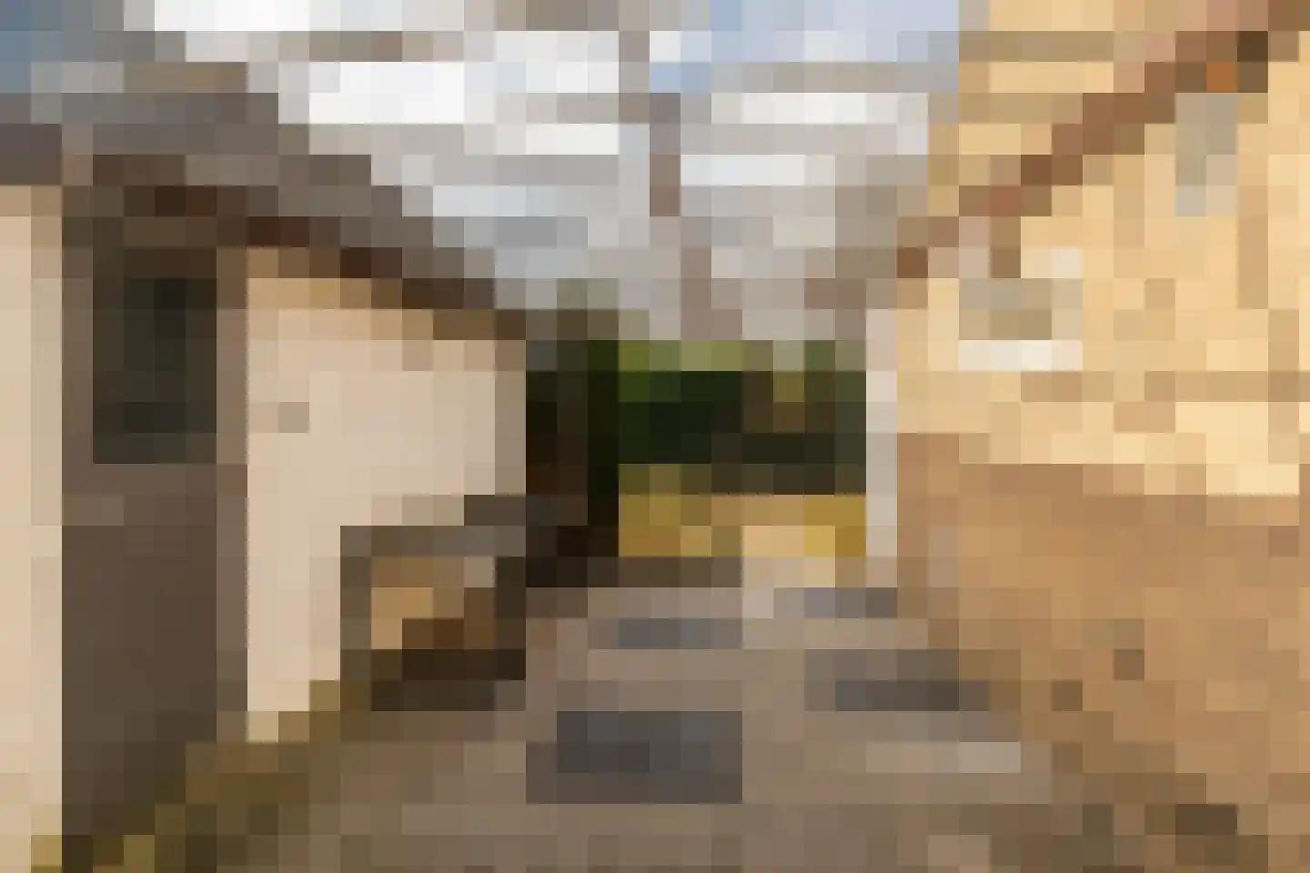 Vroenhofstraat 6 Beek thumbnail 42