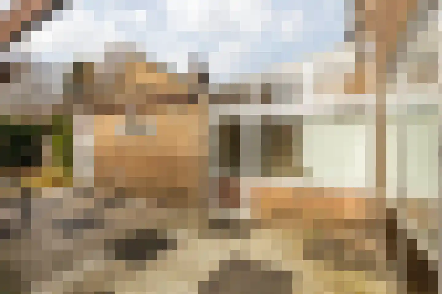 Vroenhofstraat 6 Beek thumbnail 44