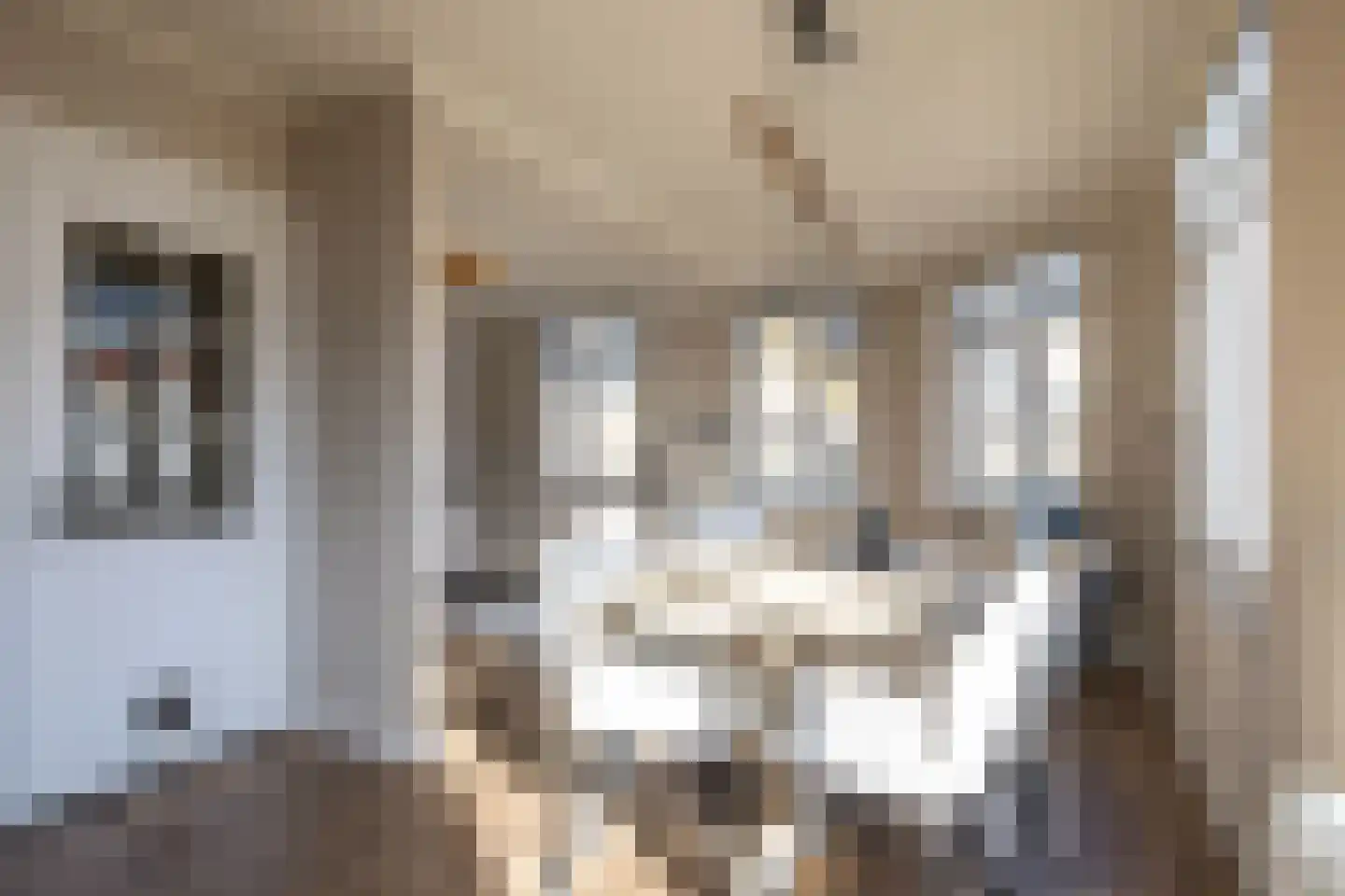 Vroenhofstraat 9 a Simpelveld thumbnail 21