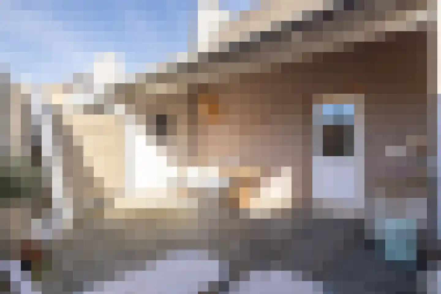 Vroenhofstraat 9 a Simpelveld thumbnail 29