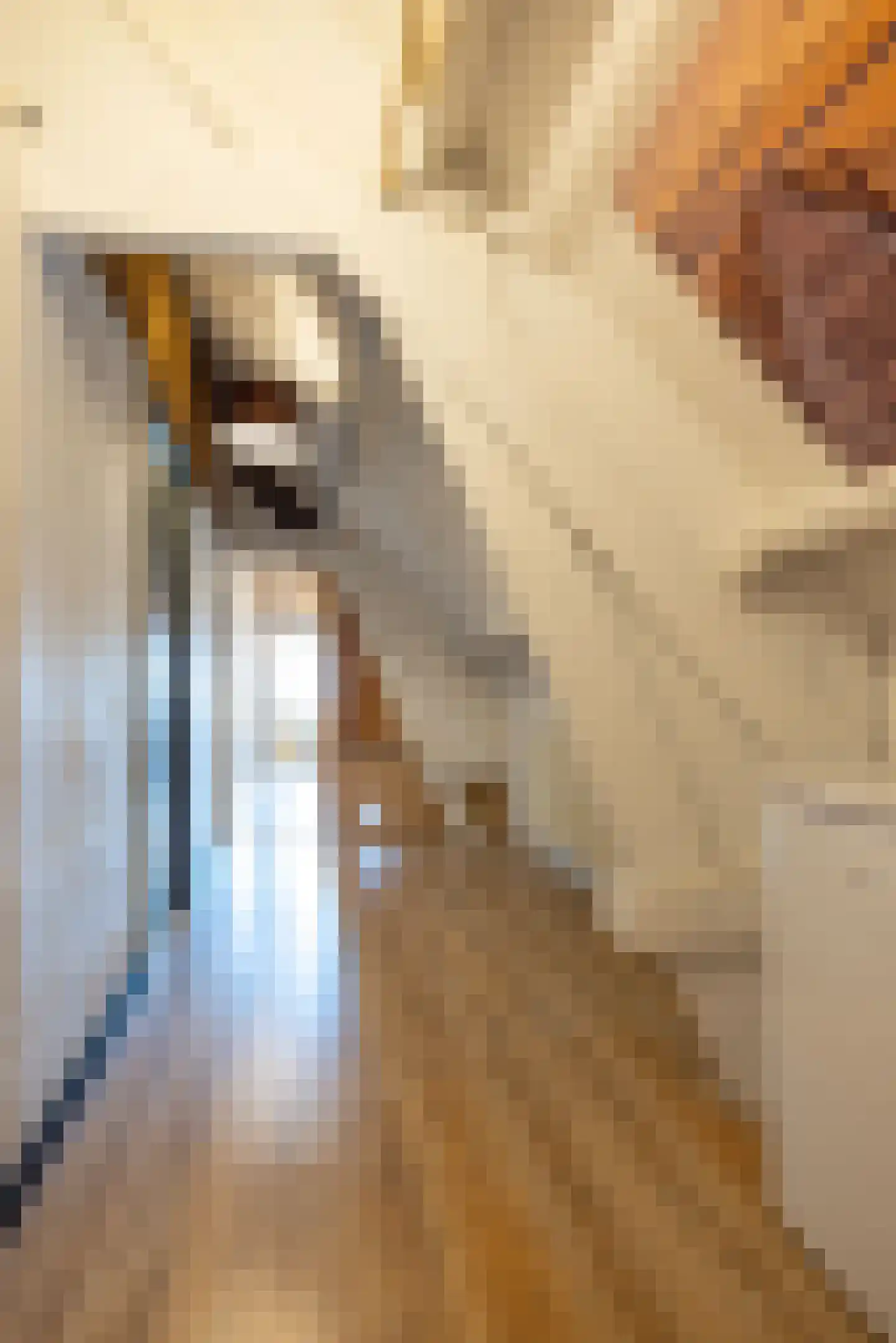 Vroenhofstraat 9 a Simpelveld thumbnail 31