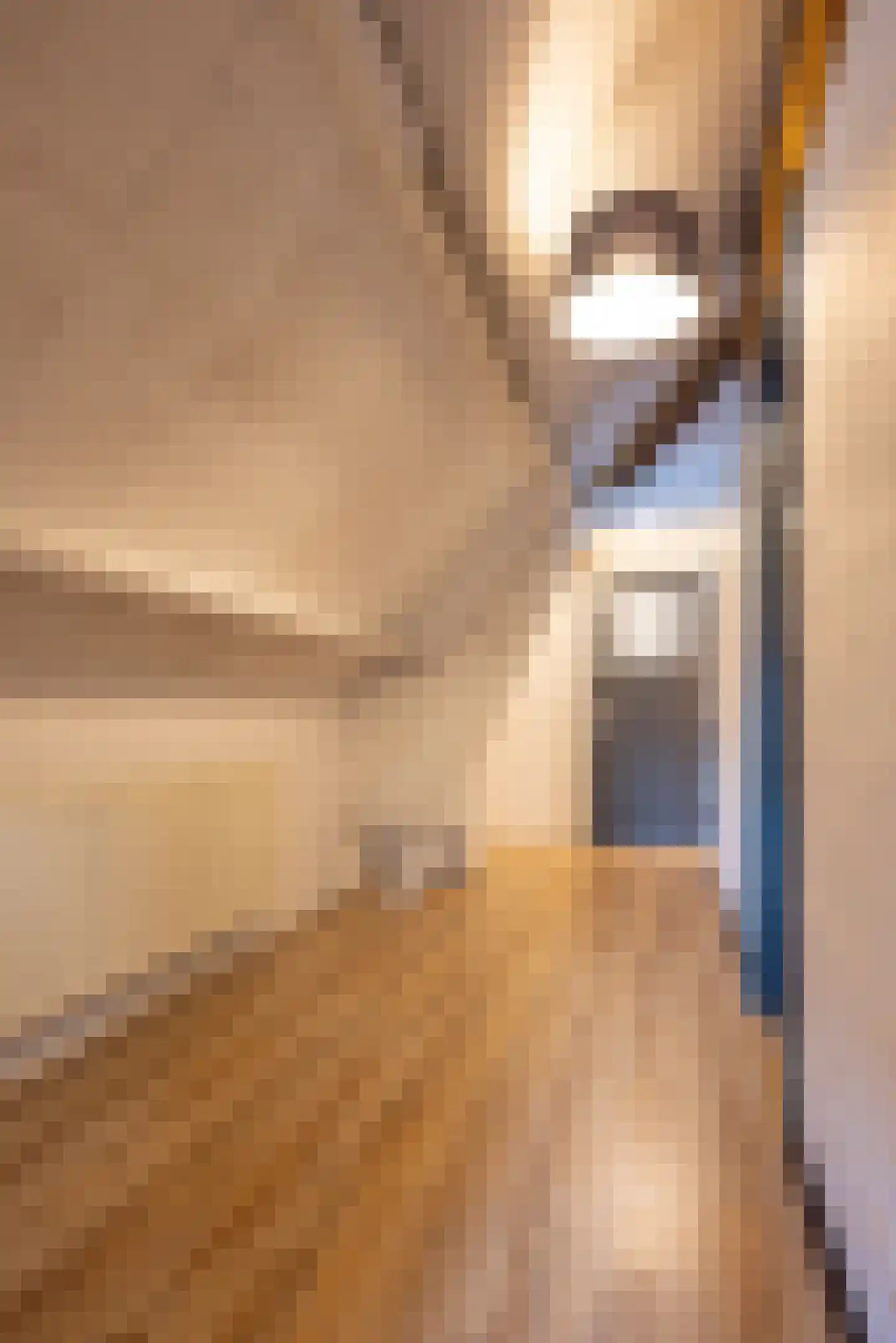 Vroenhofstraat 9 a Simpelveld thumbnail 32
