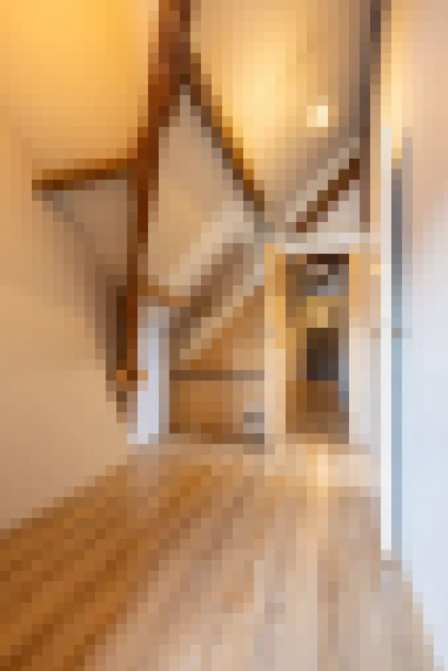 Vroenhofstraat 9 a Simpelveld thumbnail 33