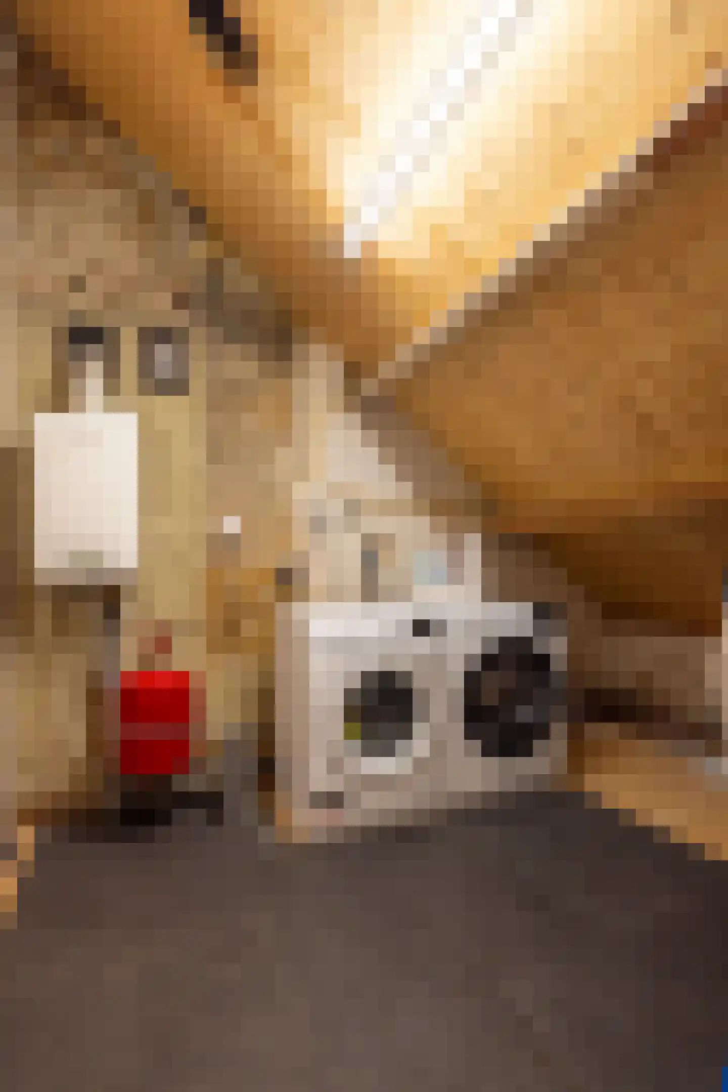 Vroenhofstraat 9 a Simpelveld thumbnail 36