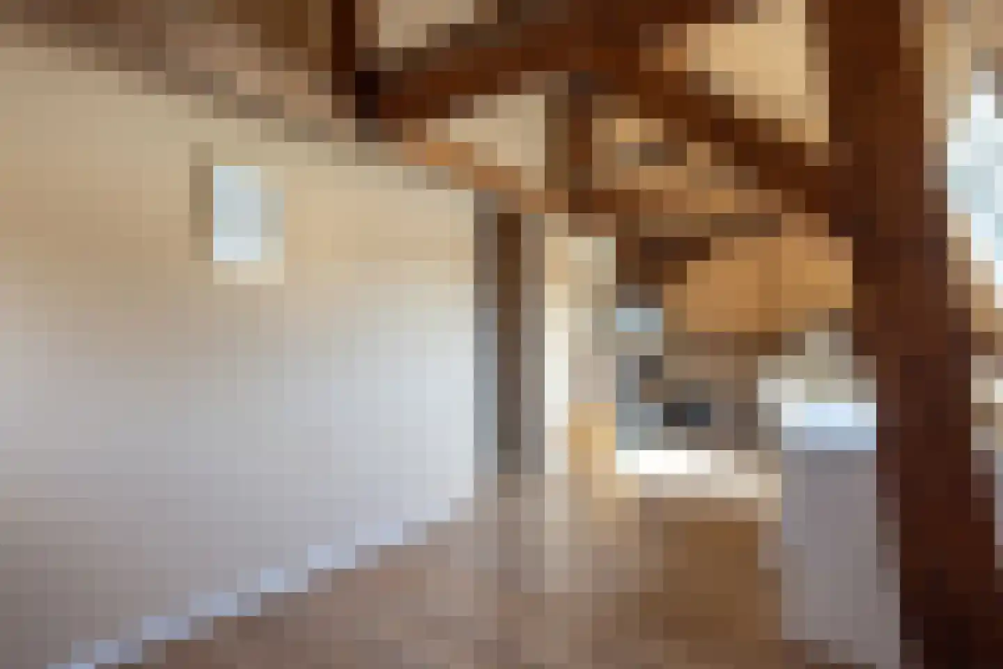 Vroenhofstraat 9 a Simpelveld thumbnail 38