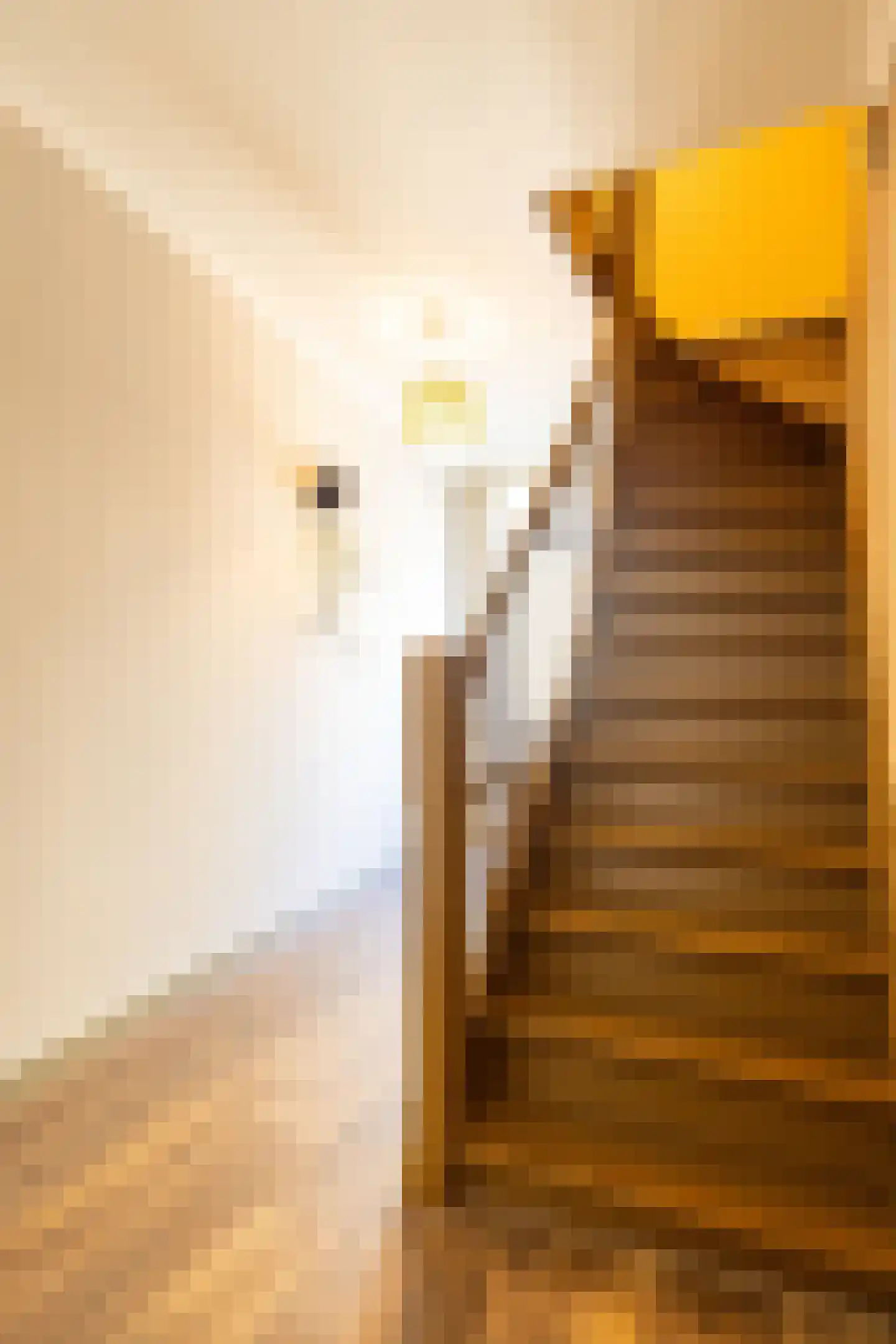 Vroenhofstraat 9 a Simpelveld thumbnail 9