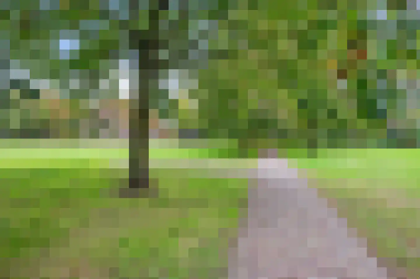 Vroenhoutseweg 3 Roosendaal thumbnail 68