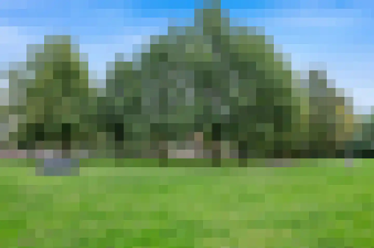 Vroenhoutseweg 3 Roosendaal thumbnail 70