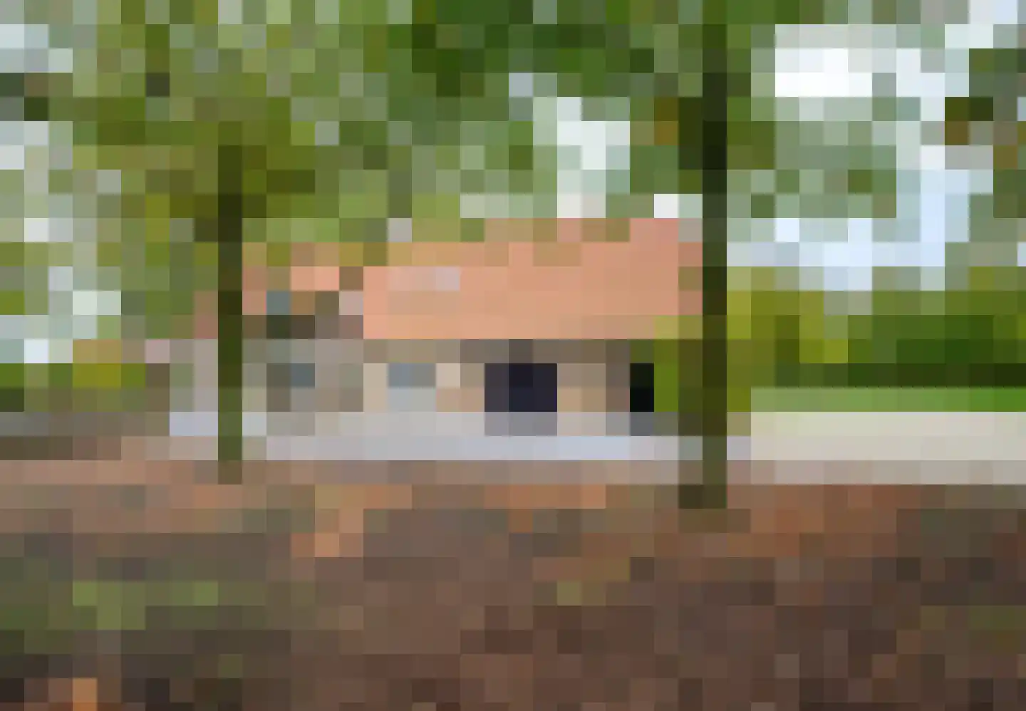 Vroenhoutseweg 3 Roosendaal thumbnail 73