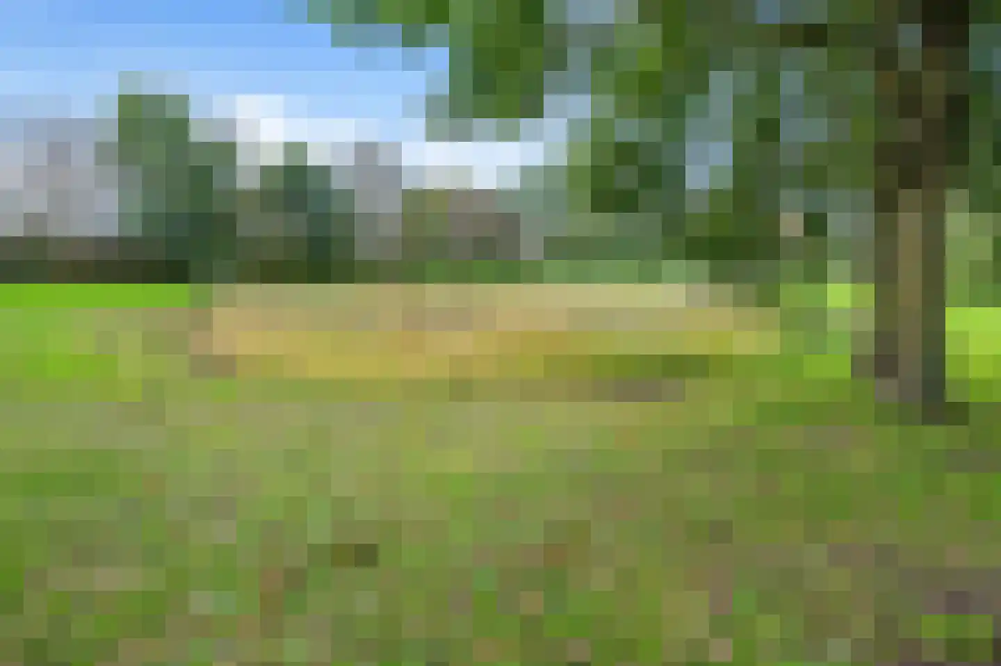 Vroenhoutseweg 3 Roosendaal thumbnail 76