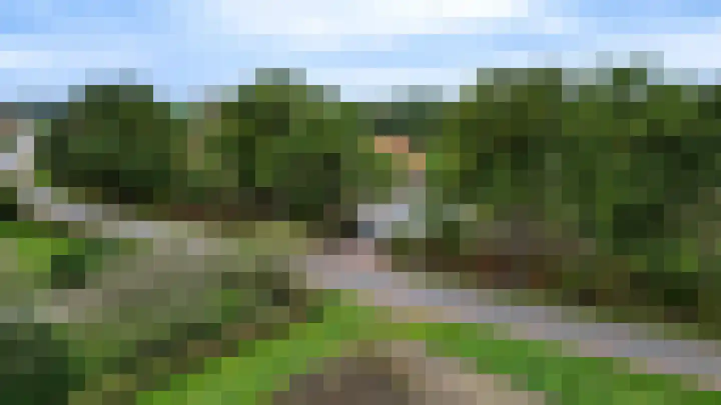 Vroenhoutseweg 3 Roosendaal thumbnail 85