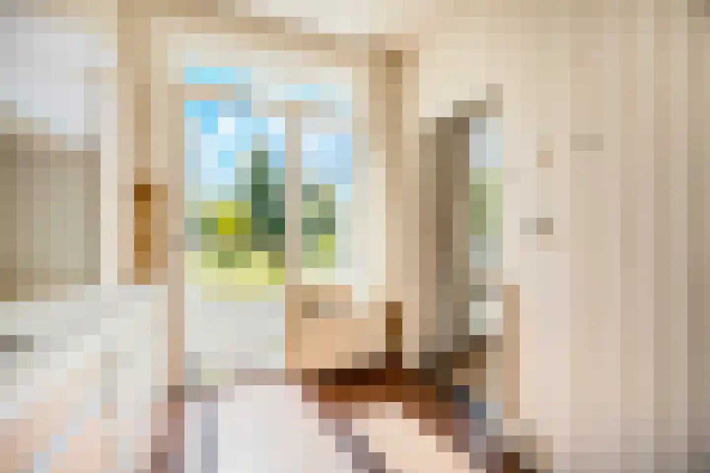 Vroenhoutstraat 14 Oosterhout thumbnail 10