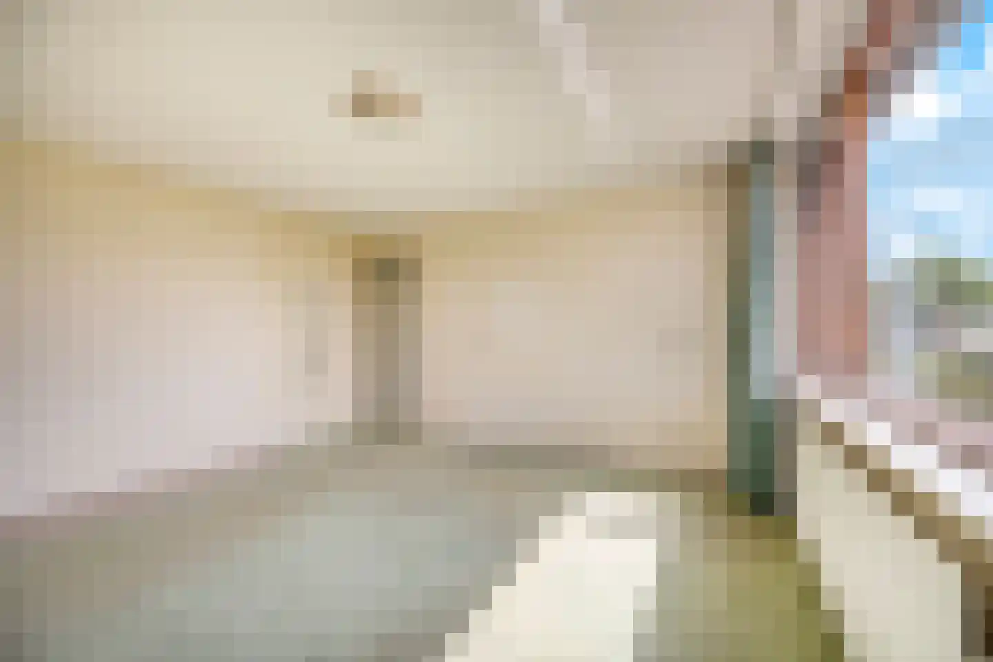 Vroenhoutstraat 14 Oosterhout thumbnail 20