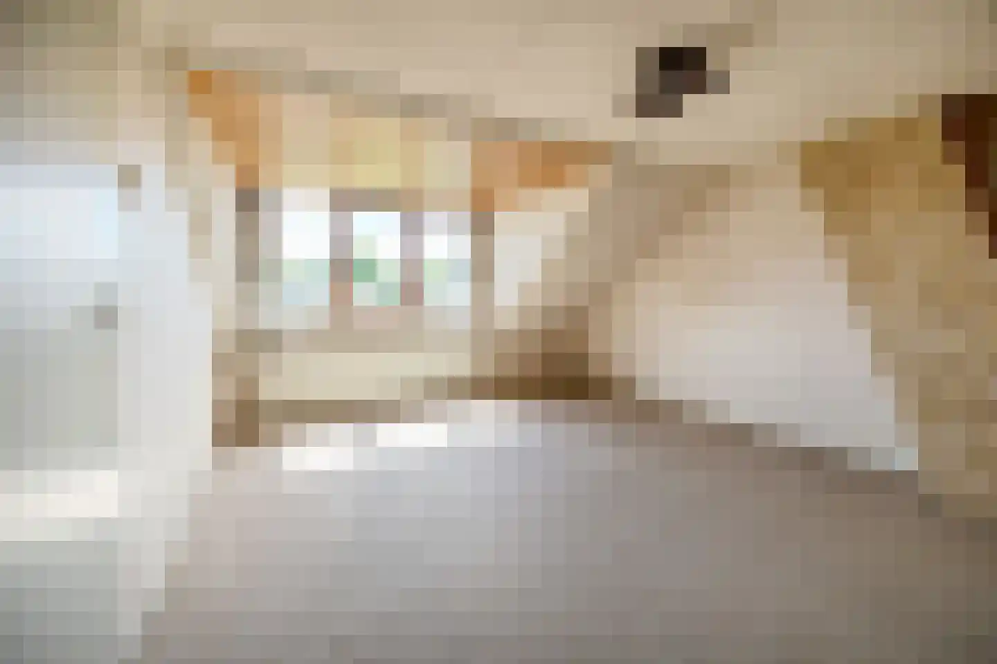 Vroenhoutstraat 14 Oosterhout thumbnail 27