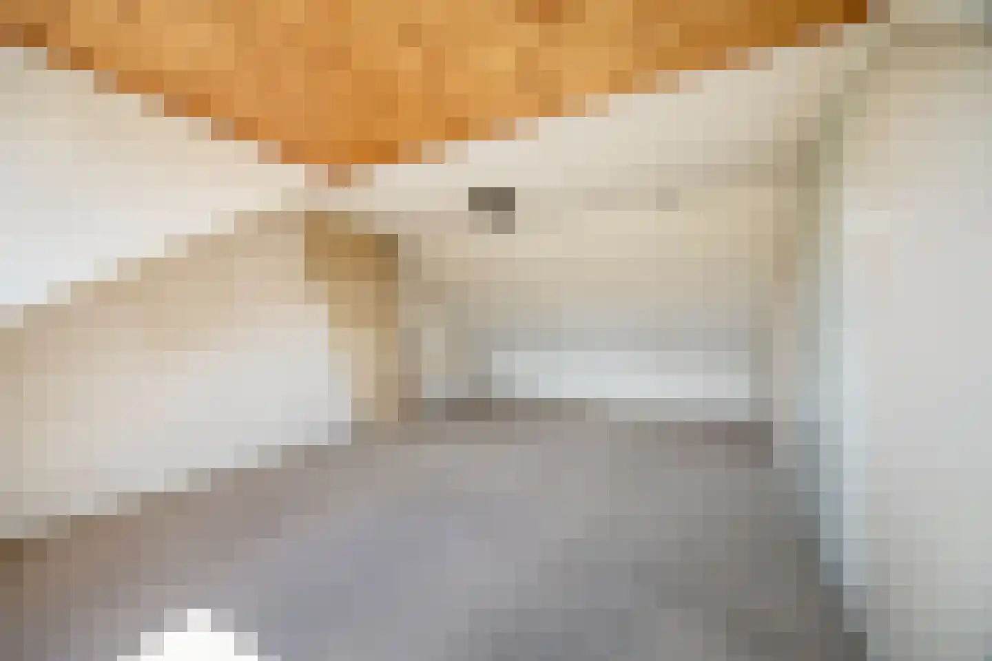 Vroenhoutstraat 14 Oosterhout thumbnail 29