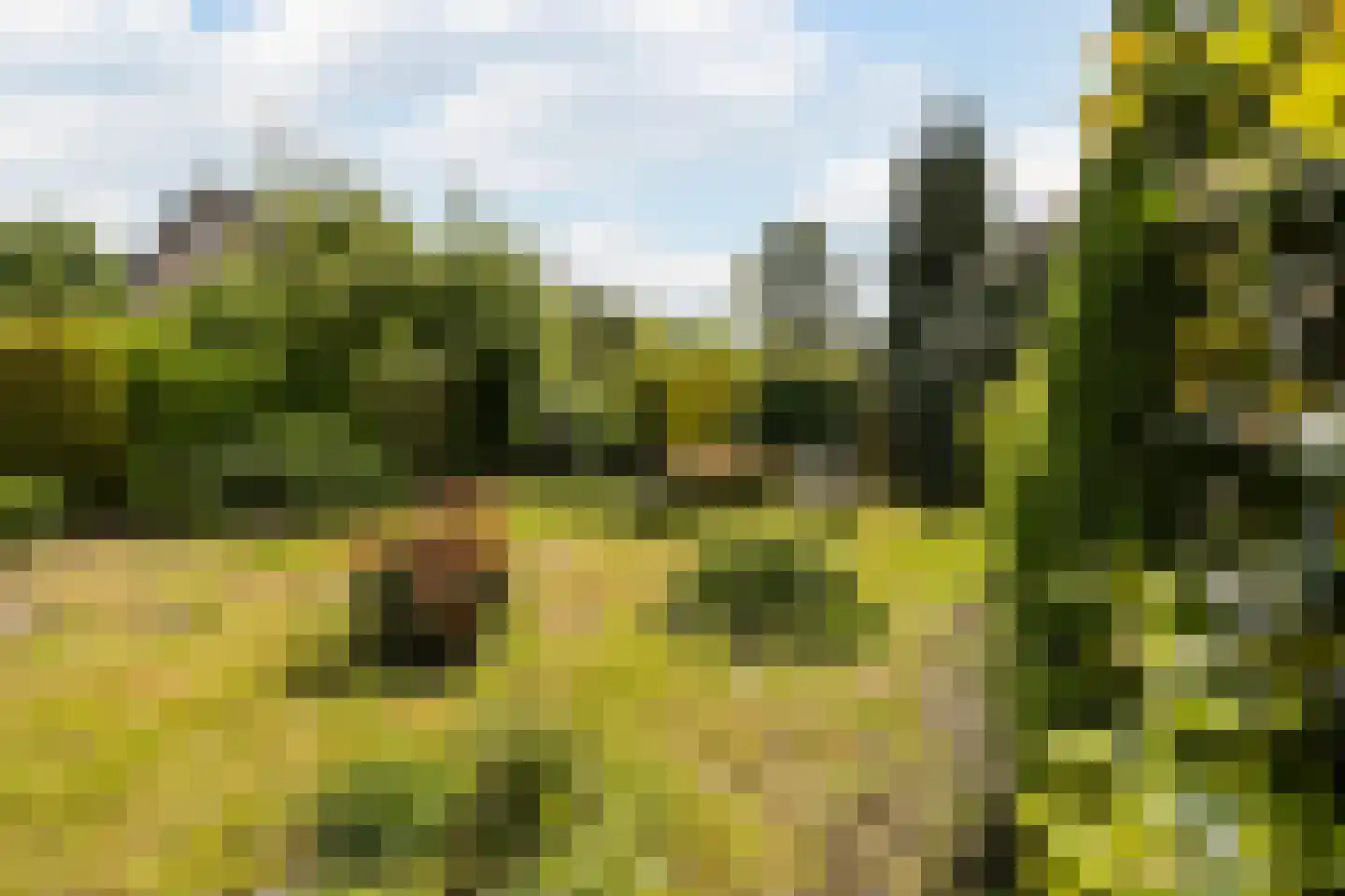 Vroenhoutstraat 14 Oosterhout thumbnail 33