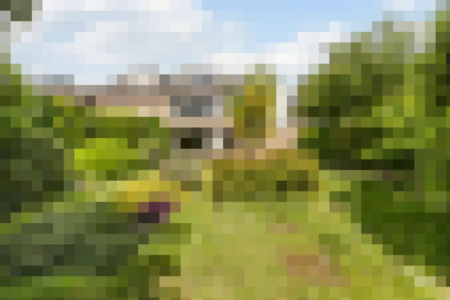 Vroenhoutstraat 14 Oosterhout thumbnail 36