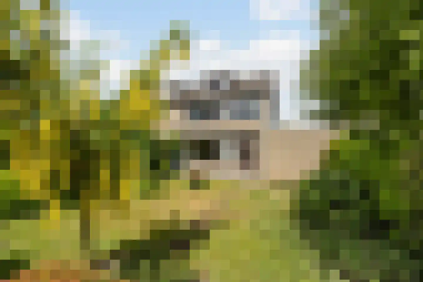 Vroenhoutstraat 14 Oosterhout thumbnail 37