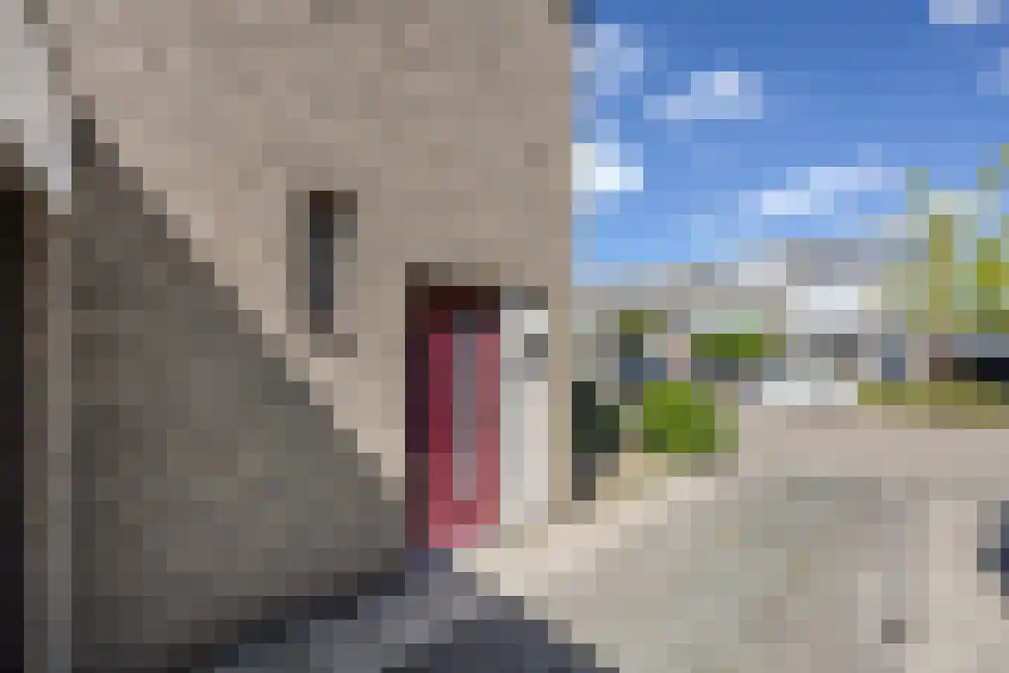 Vroenhoutstraat 14 Oosterhout thumbnail 41