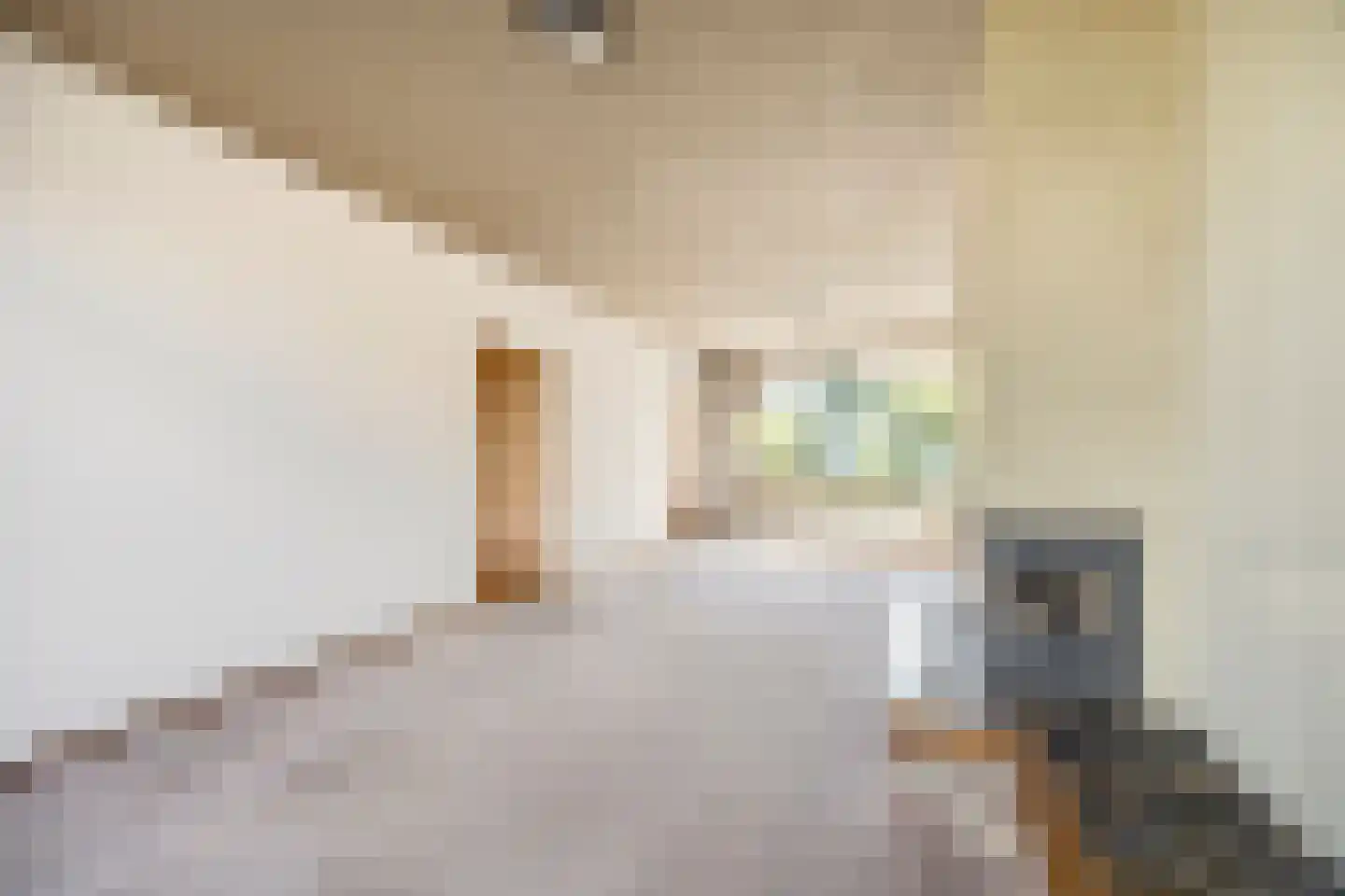 Vroenhoutstraat 14 Oosterhout thumbnail 6