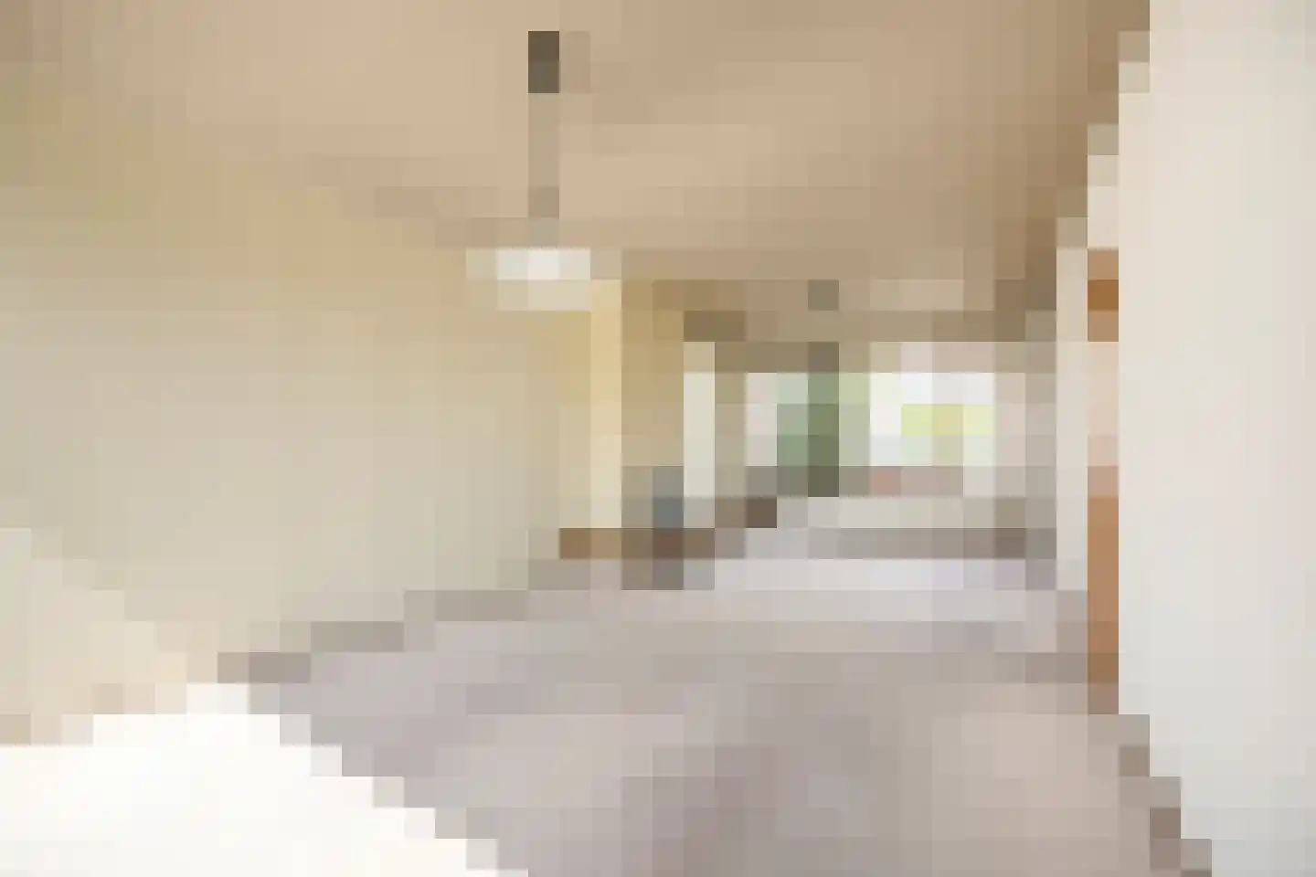 Vroenhoutstraat 14 Oosterhout thumbnail 8