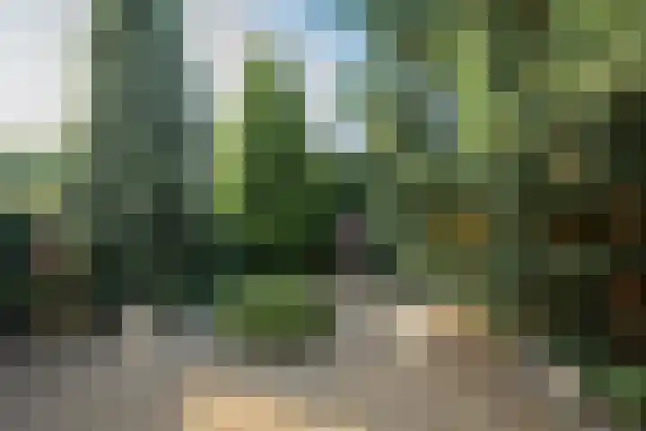 Vroenhoutstraat 6 Oosterhout thumbnail 30