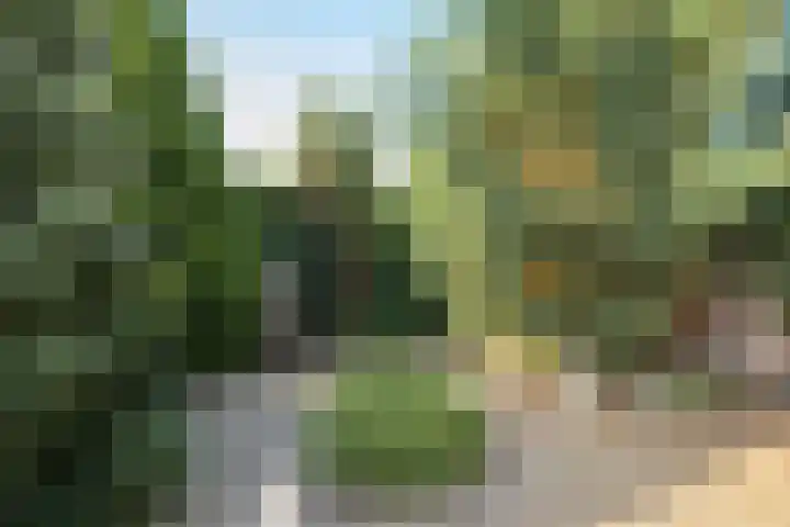 Vroenhoutstraat 6 Oosterhout thumbnail 31