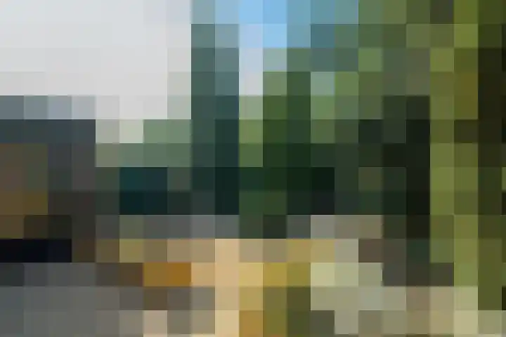 Vroenhoutstraat 6 Oosterhout thumbnail 32