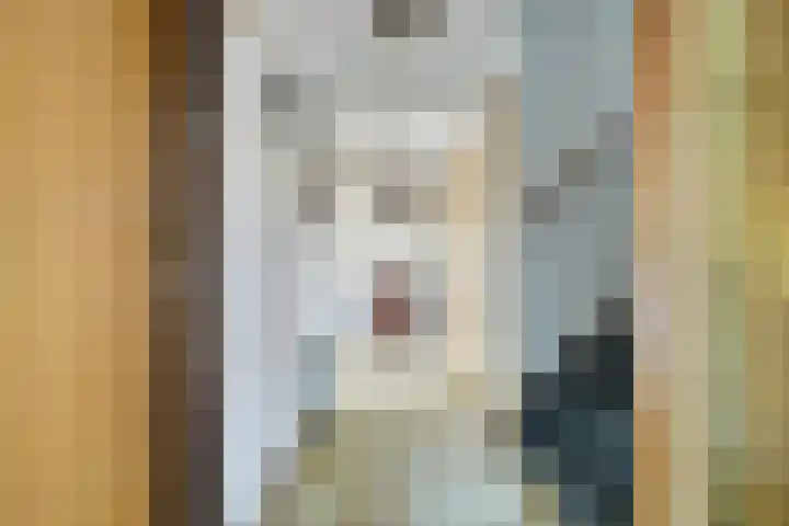 Vroenhoutstraat 6 Oosterhout thumbnail 4