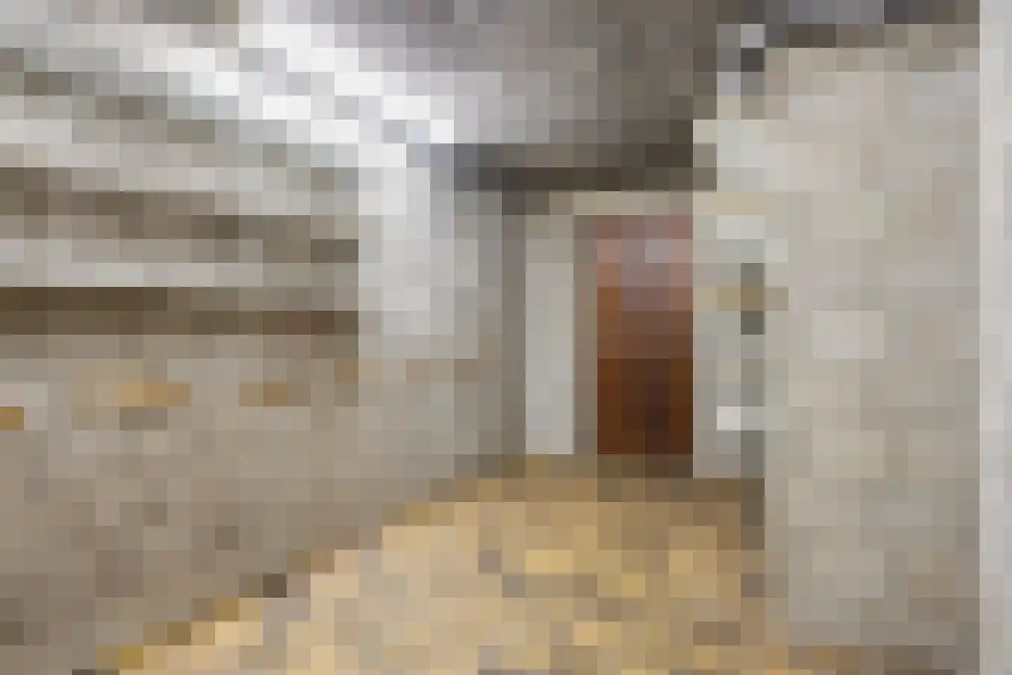 Vroenhovenweg 150 Maastricht thumbnail 37