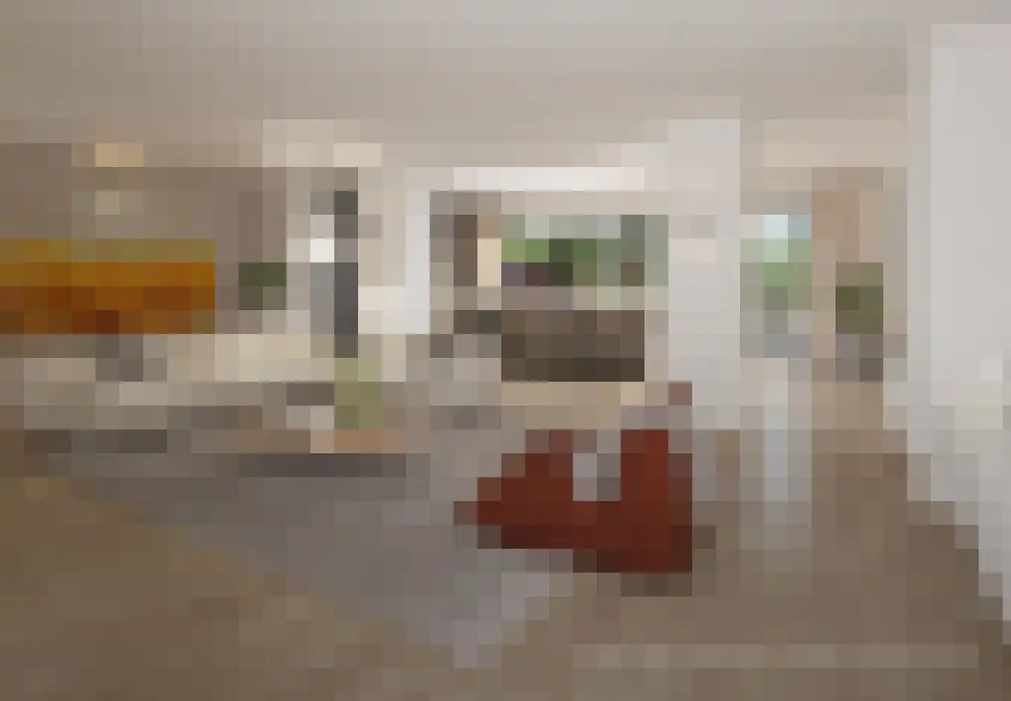 Vroenhovenweg 200 Maastricht thumbnail 9
