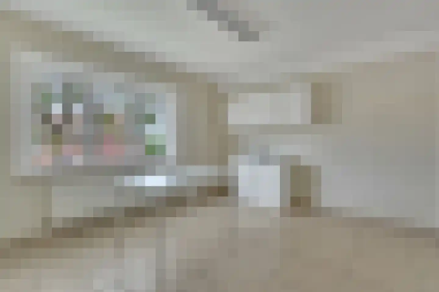 Vroenhovenweg 8 Maastricht thumbnail 5