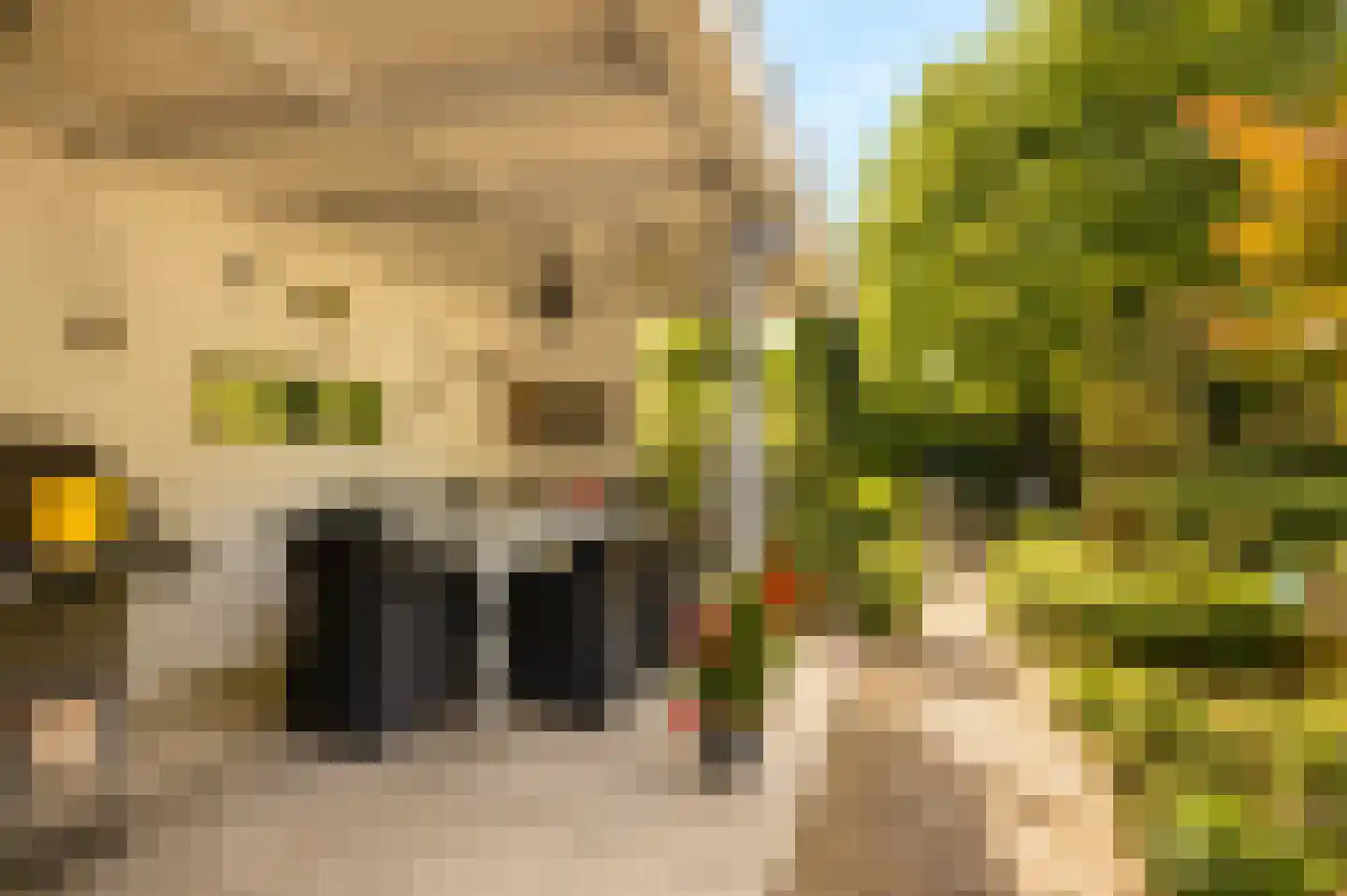 Vroenstraat 14 Kerkrade thumbnail 30