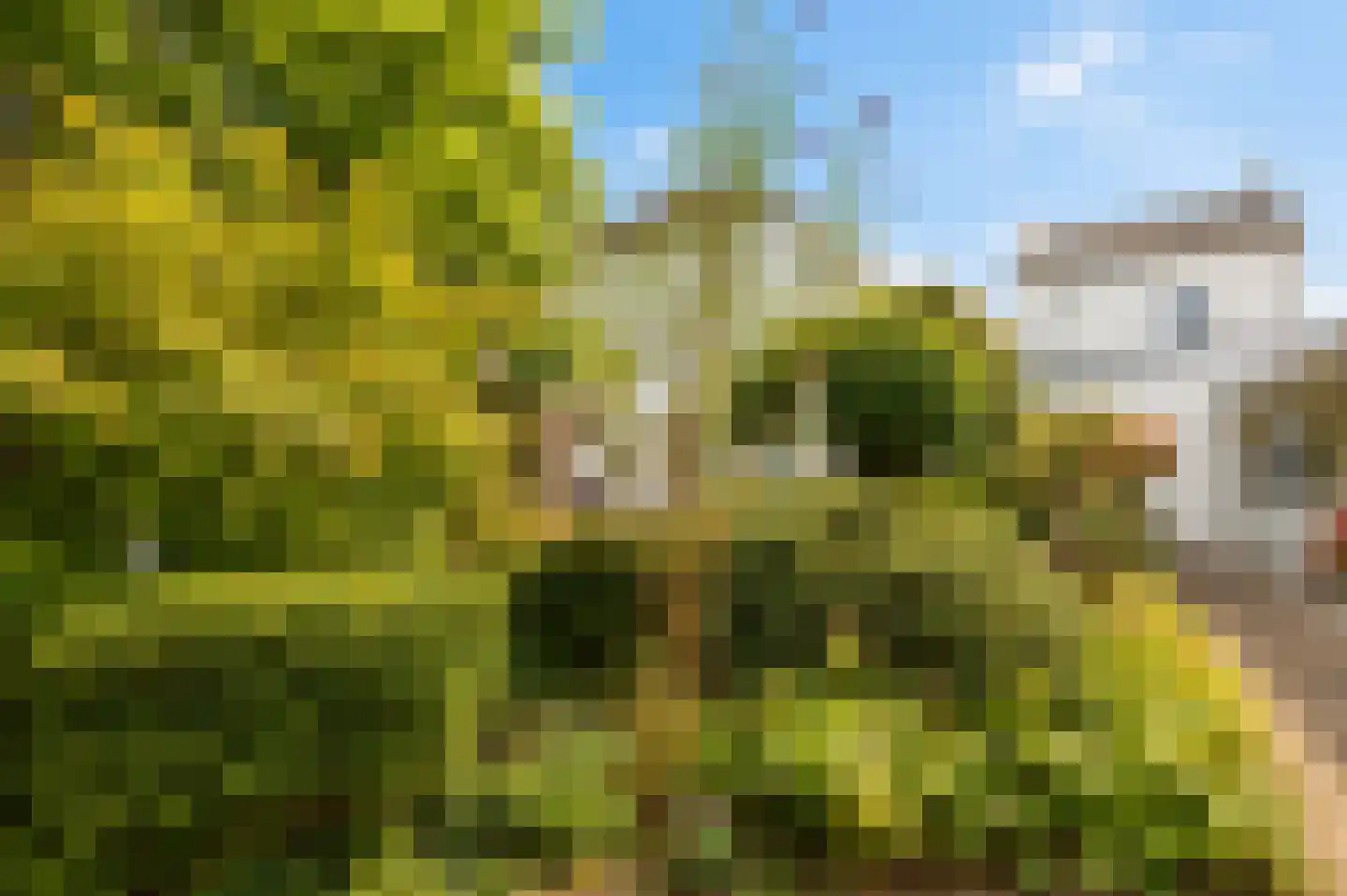 Vroenstraat 14 Kerkrade thumbnail 34