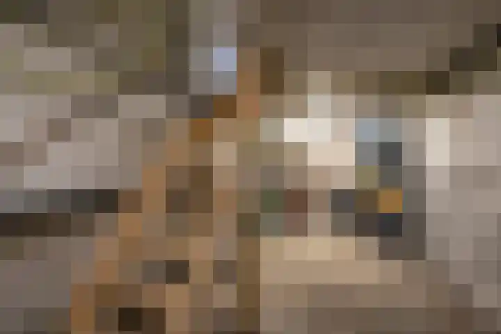 Vroenstraat 42 Kerkrade thumbnail 17