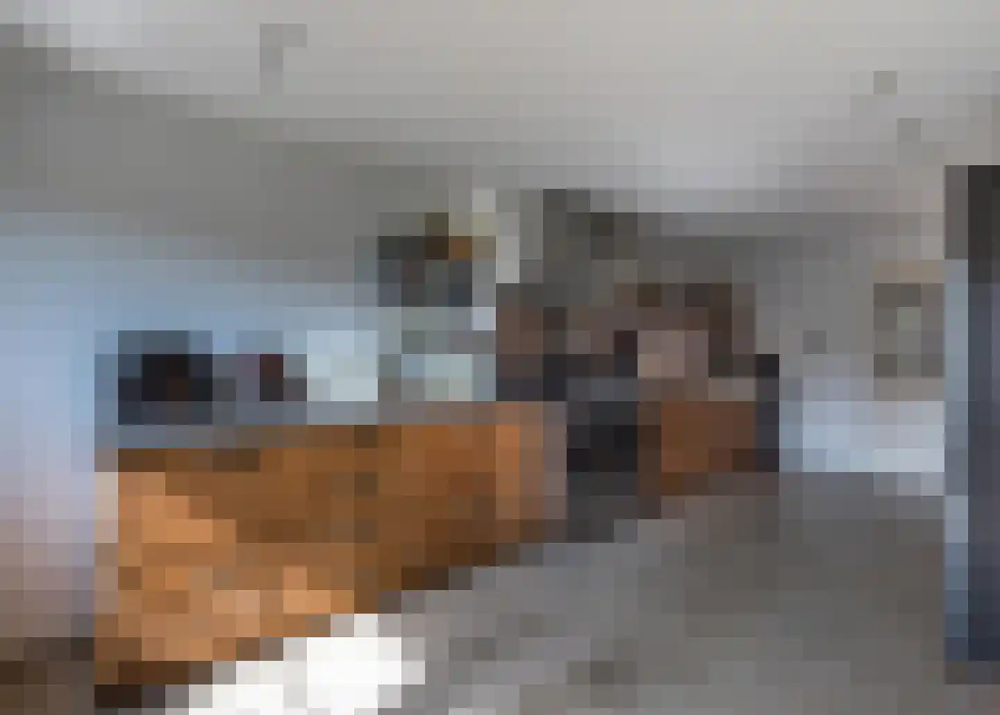 Vroenstraat 9 Kerkrade thumbnail 12