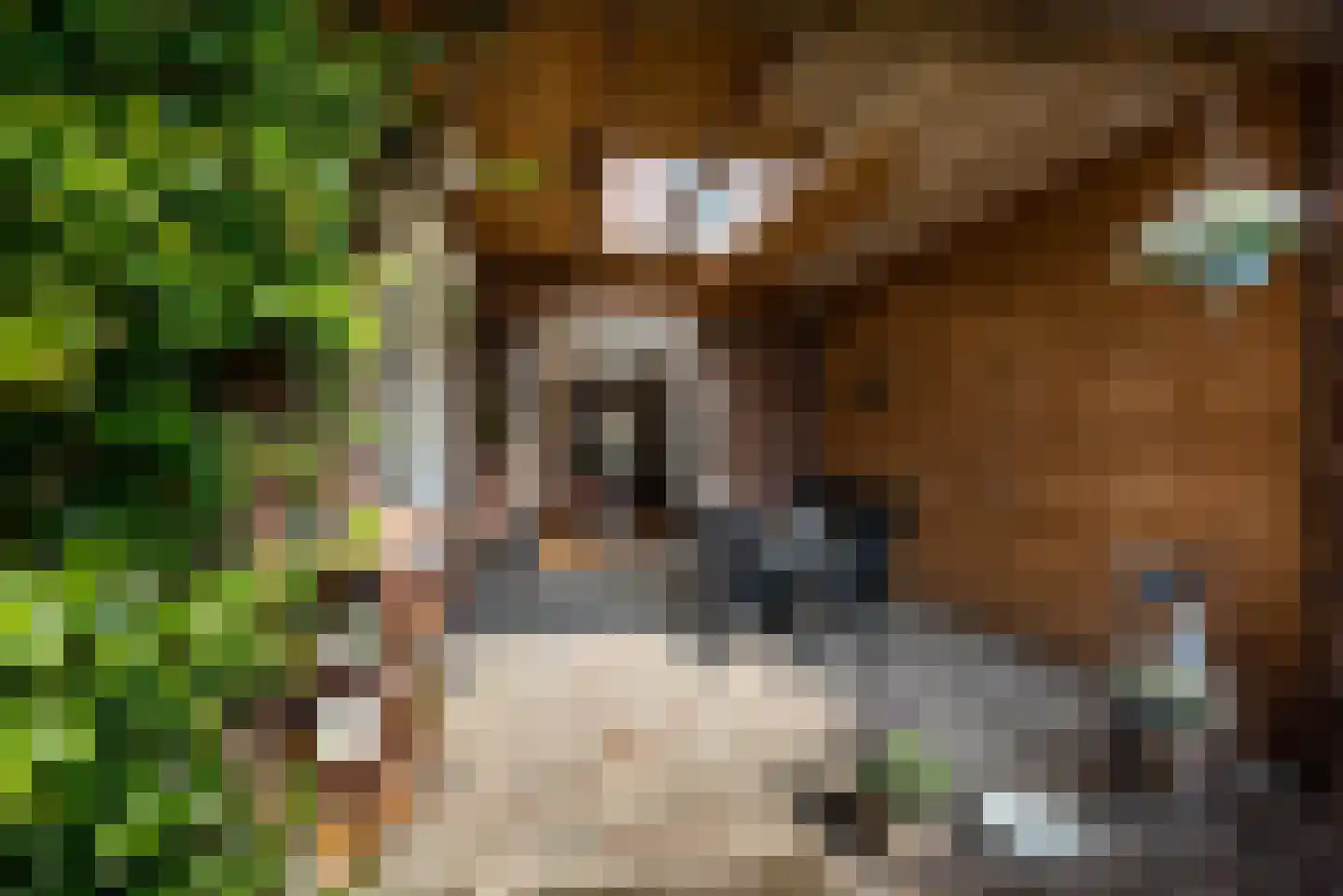 Vroenstraat 9 Kerkrade thumbnail 32